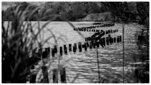 Plage de Paris au Giboin