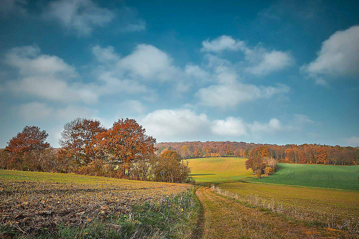 Fonds de Romainville – Sous le Château