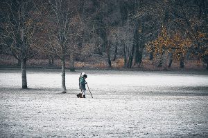Couleurs d’hiver – Parc de Flins