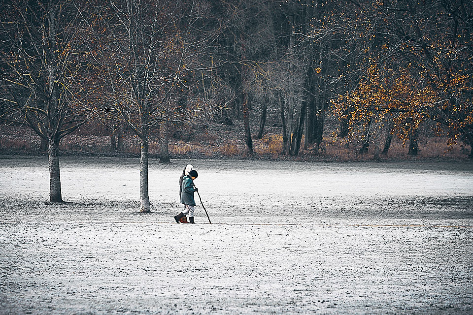 Couleurs d’hiver – Parc de Flins