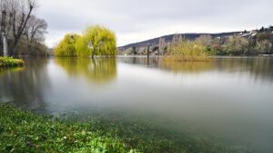 Bords de Seine – Triel sur Seine – Crue 2020