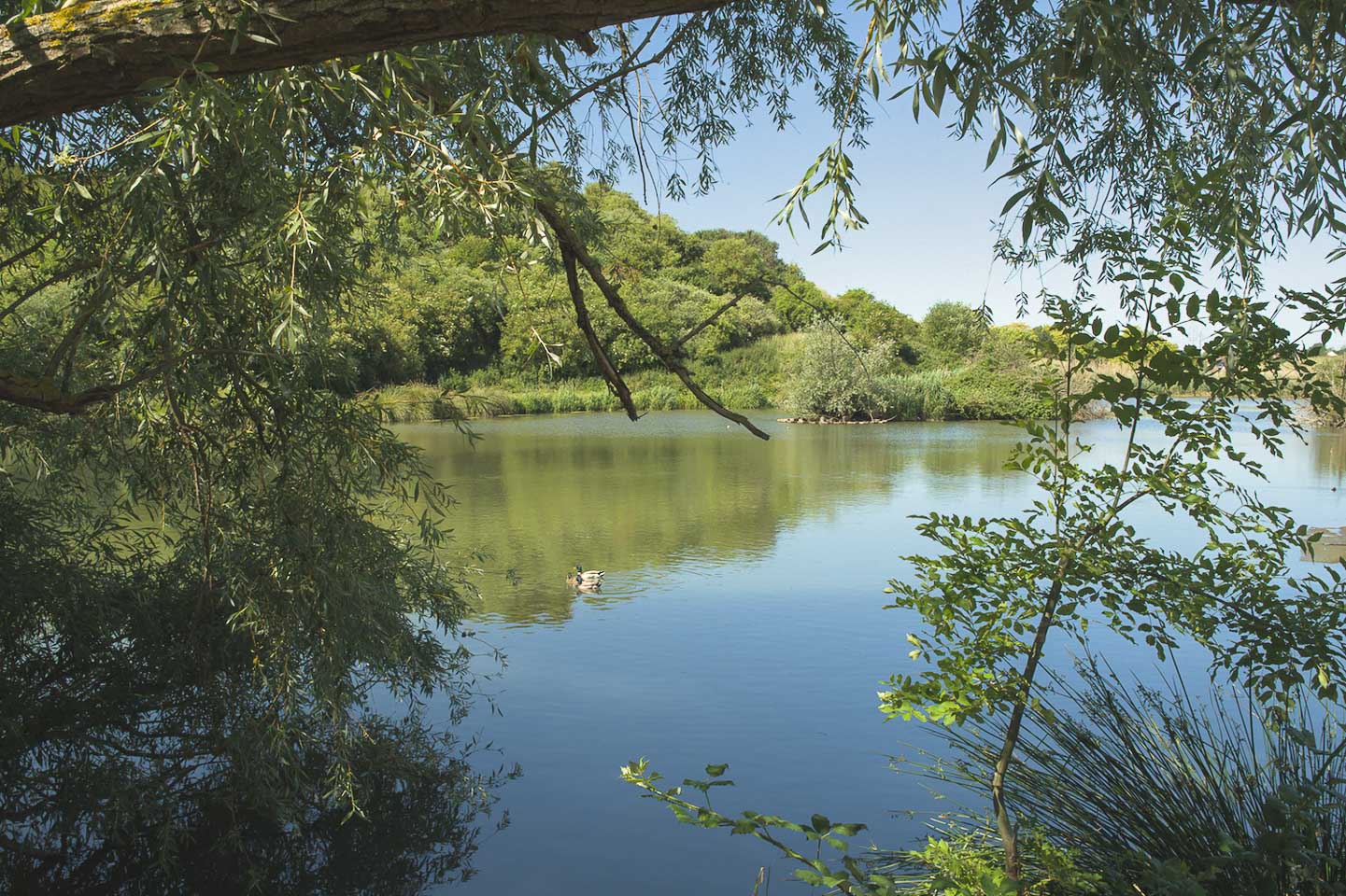 Parc de Sautour – Les Mureaux