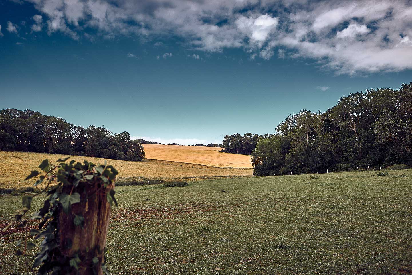 Champêtre à Chérence