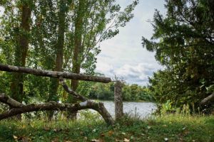 Bords de Seine à Meulan