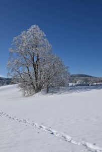 Sans titre - Thème - Au 24 mm