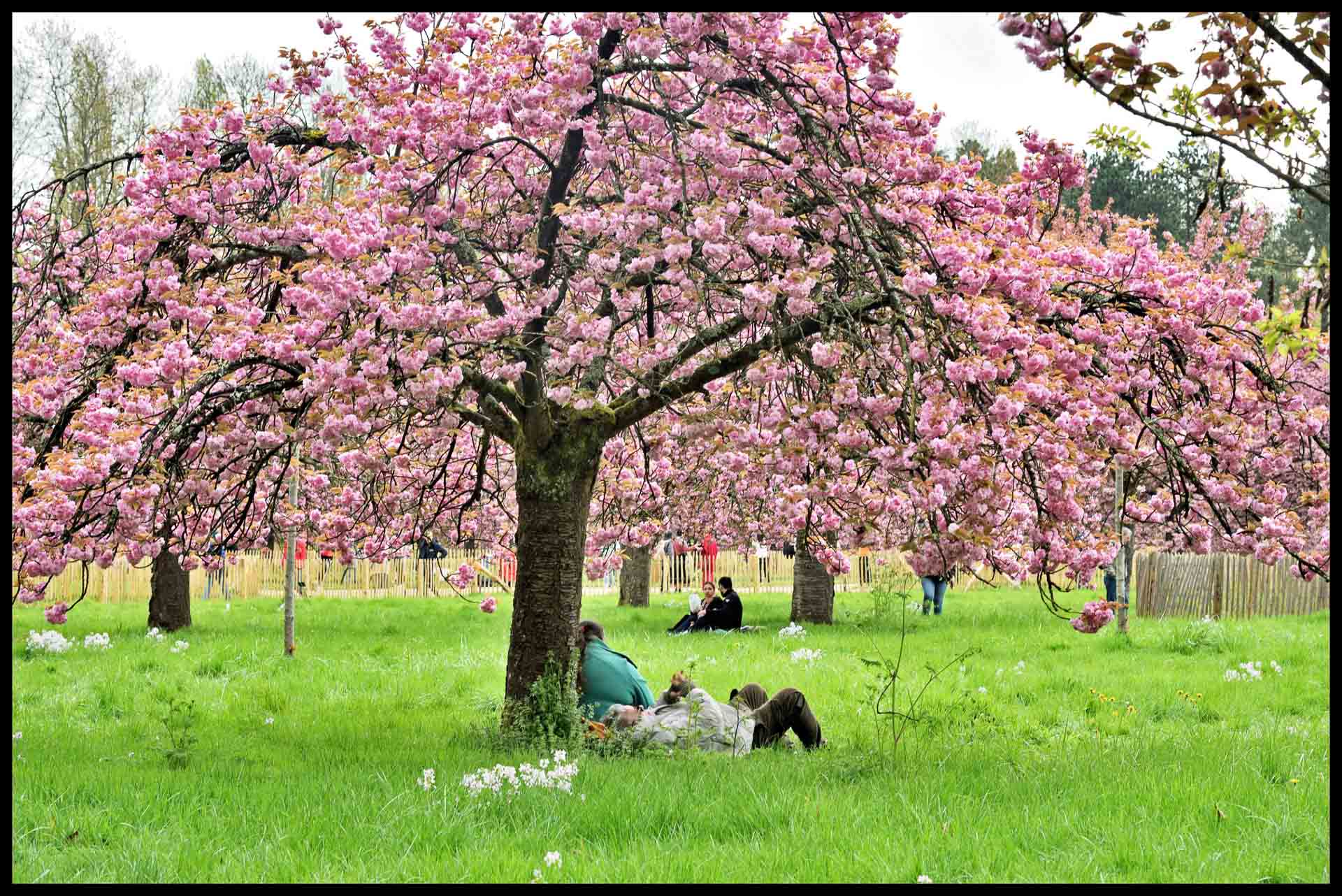 Parc de Sceaux